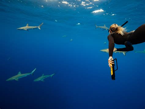 rolex shark deterrent